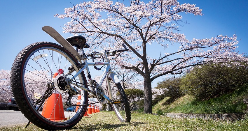 Do Road Bikes Have Kickstands?